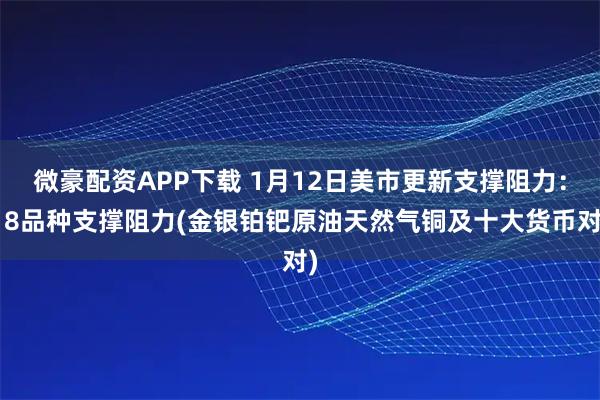 微豪配资APP下载 1月12日美市更新支撑阻力：18品种支撑阻力(金银铂钯原油天然气铜及十大货币对)