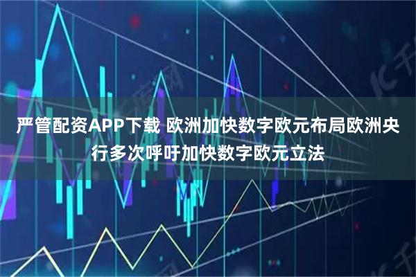 严管配资APP下载 欧洲加快数字欧元布局欧洲央行多次呼吁加快数字欧元立法
