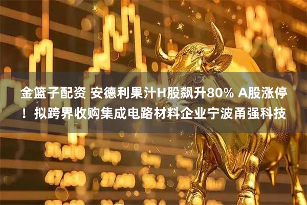 金篮子配资 安德利果汁H股飙升80% A股涨停！拟跨界收购集成电路材料企业宁波甬强科技